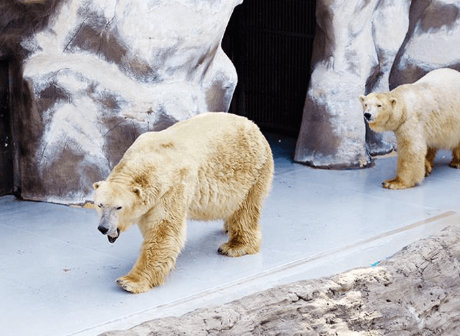 어린이대공원 이미지