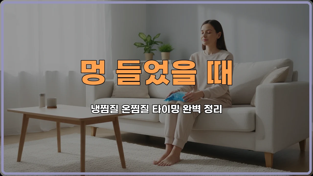 멍들었을때