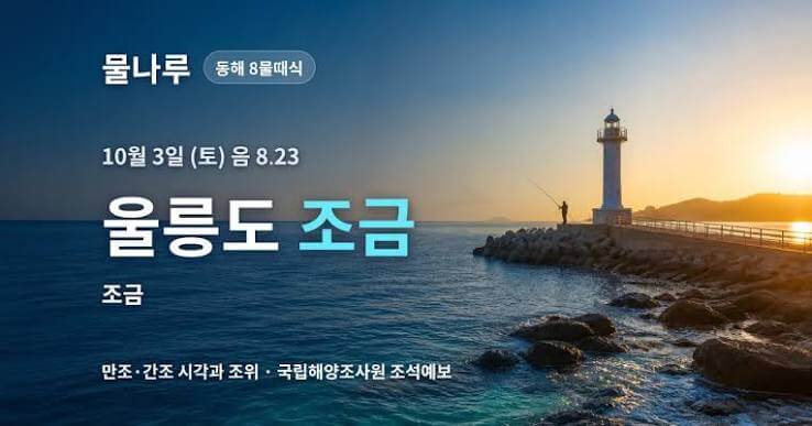 울릉군 물때