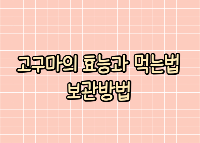 고구마의 효능과 먹는법 보관방법 대표이미지