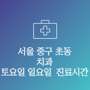 서울 중구 초동 치과 주말 토요일 일요일 문여는 병원 진료시간
