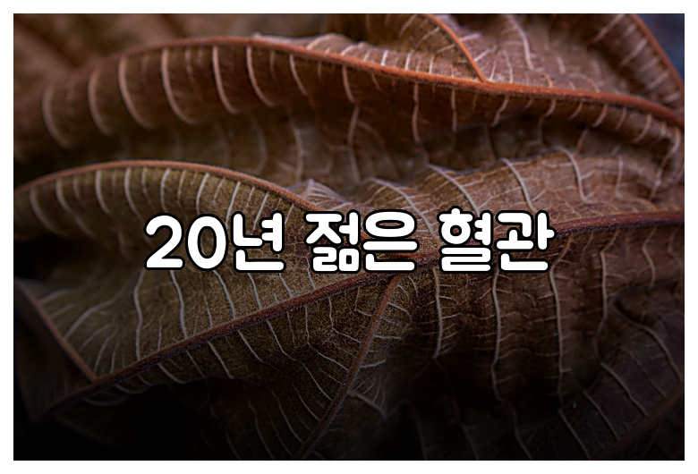20년 젊은 혈관