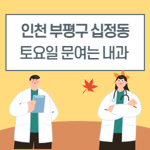 인천 부평구 십정동 토요일 내과 진료 병원 리스트