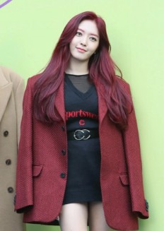 임도화 AOA 찬미 가수 활동