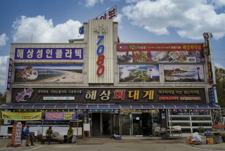 영덕 강구항 제철 수산물 맛집 &amp;#124; 6시 내고향 방송 나온 해상회식당