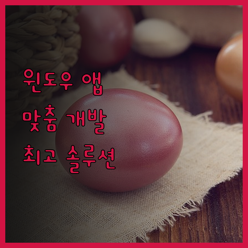 맞춤형 Windows 프로그램 개발 