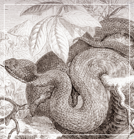 소화기 건강 윤세