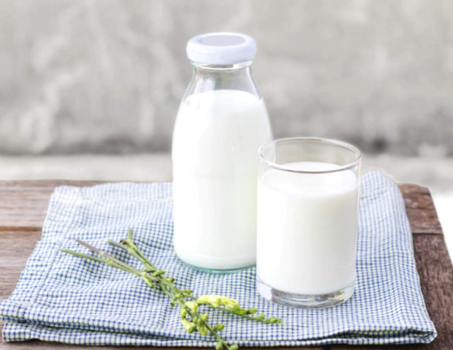 락토페린 다이어트 효능