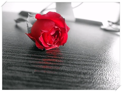 본인서명사실확인서 인터넷발급