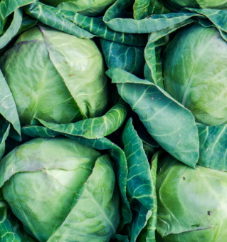 양배추 효능과 부작용 칼로리