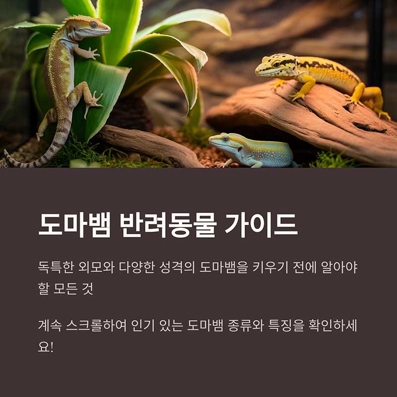 도마뱀을 반려동물로 키우기 전에 알아야 할 것
