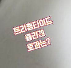 트리펩타이드콜라겐-효능