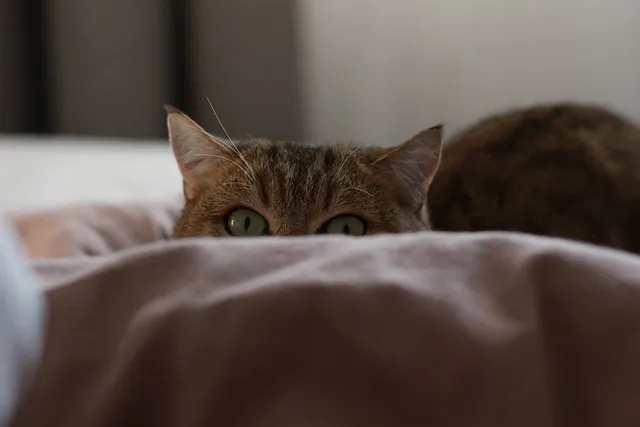 노래로 배우는 일본어 I love you 오자키 유타카 포지션 I Love You 일본원곡 가사 독음 번역 단어정리로 안내_8