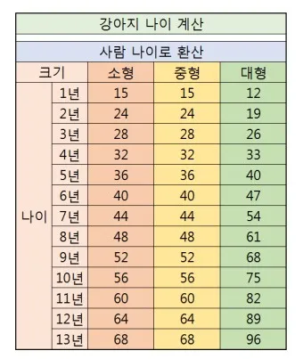 강아지 나이 환산법 가이드 실제 나이 확인 방법_10
