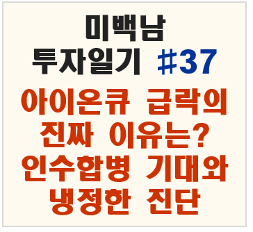 미백남 투자일기 #37 – 아이온큐 급락의 진짜 이유는? 인수합병 기대와 냉정한 진단