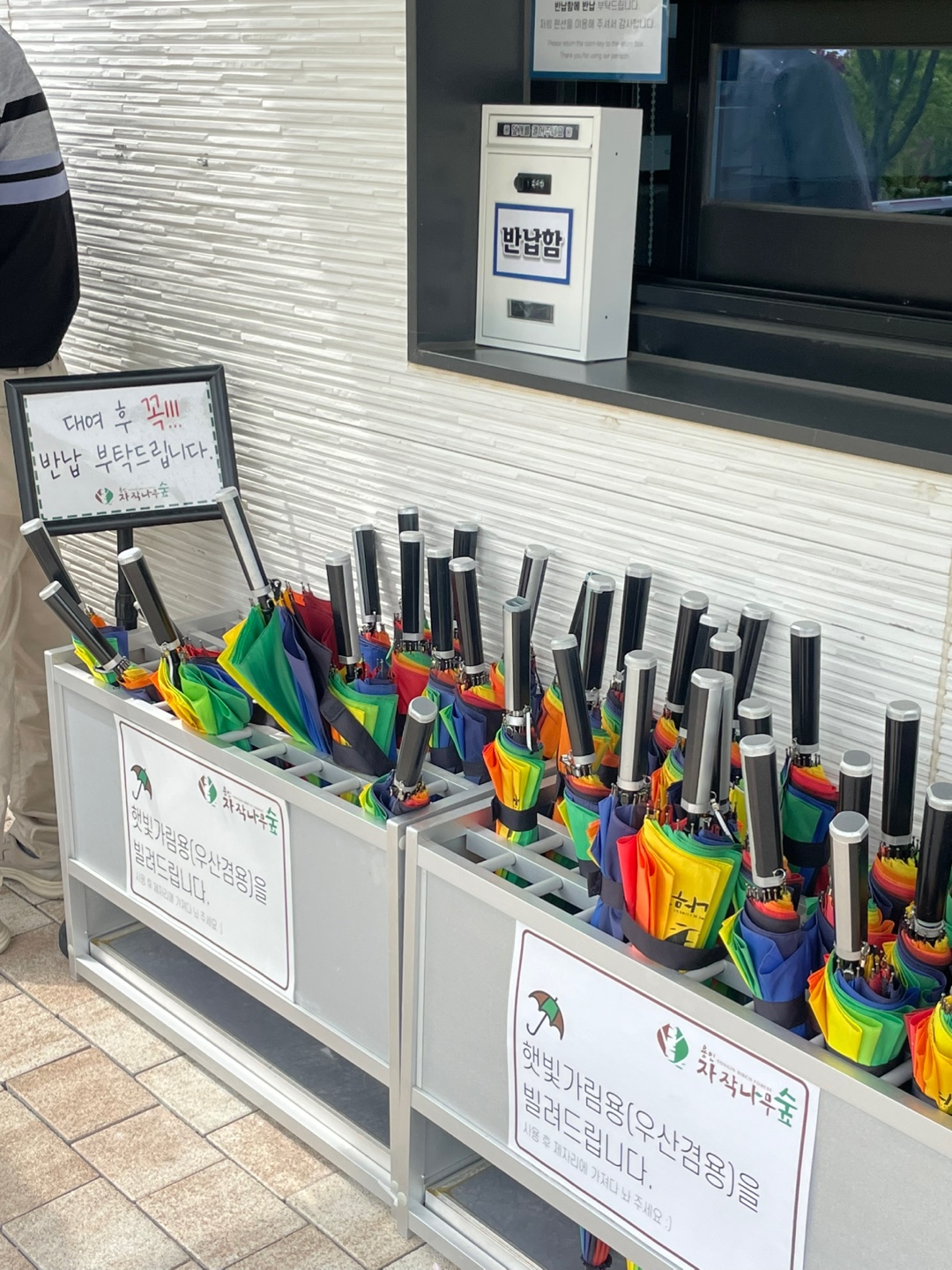 용인 자작나무숲 베툴라 대형 베이커피 카페