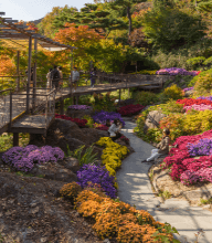 화담숲 전경사진