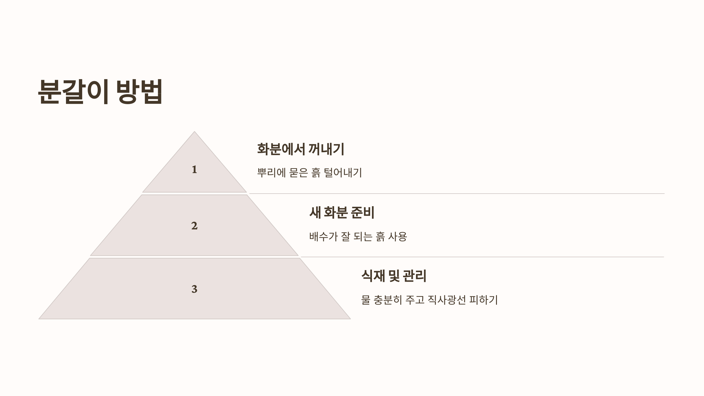 스킨답서스와 관련된 사진입니다.