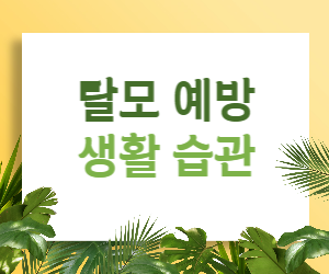 탈모, 생활 습관으로 예방할 수 있다!