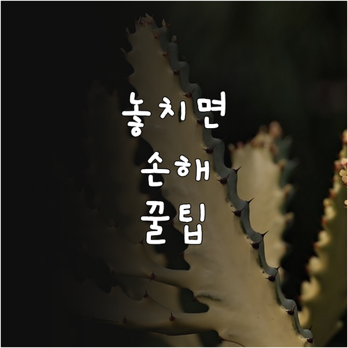 2025 의왕시 출산지원 누가 얼마나..