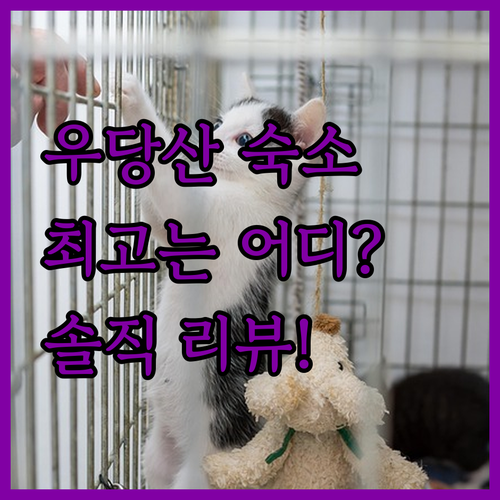 우당산 최고의 숙소는 어디? 생생한 ..
