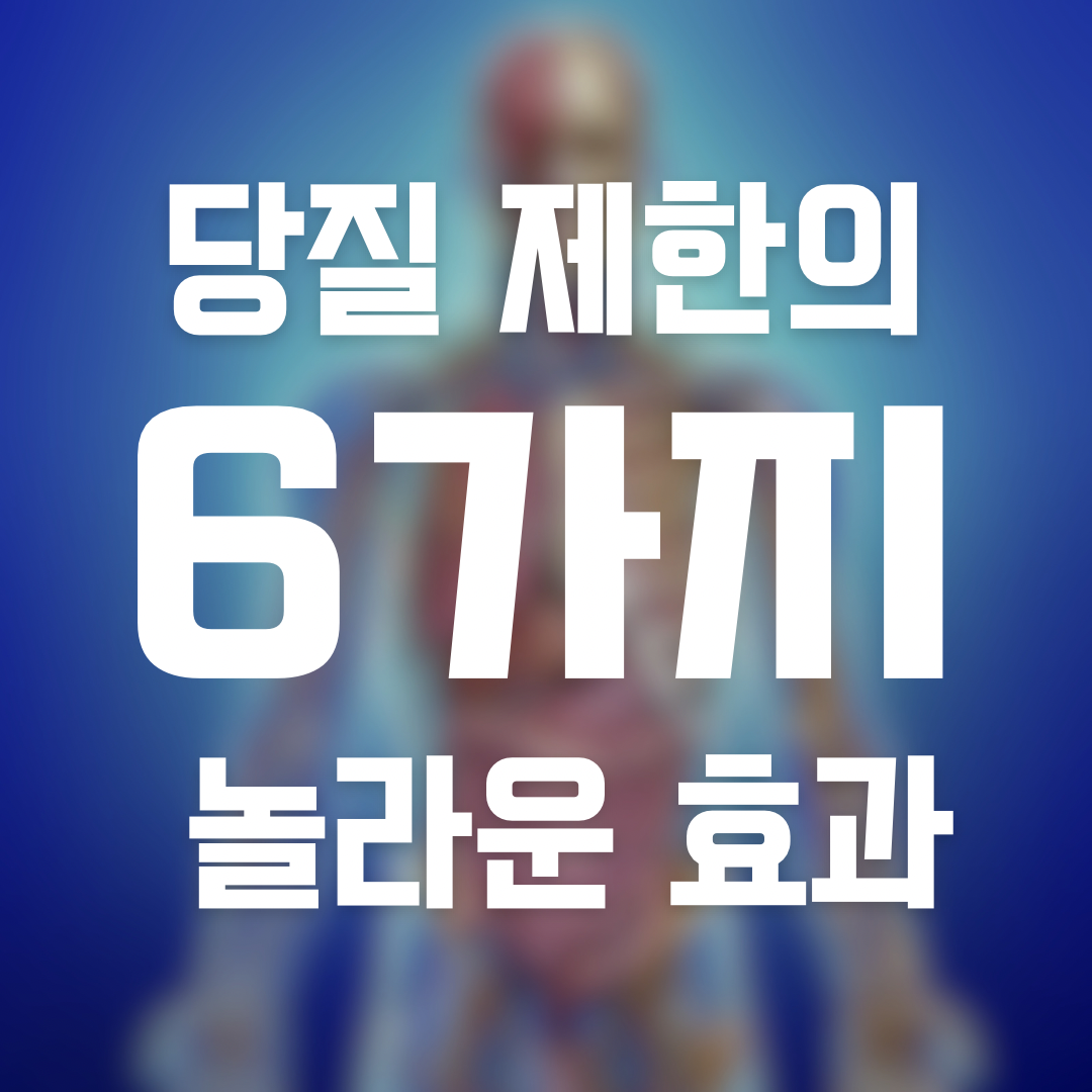 당질 제한의 6가지 놀라운 효과