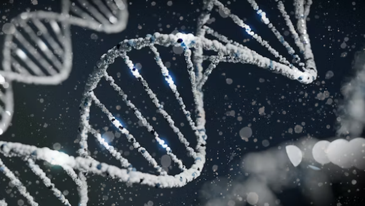 사회공포증 원인 유전자