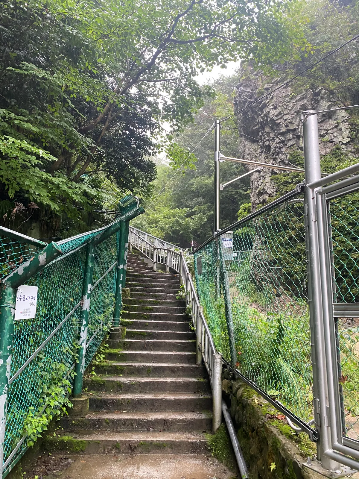 울릉도-추석가족여행-2일차-봉래폭포-입장료할인-주차정보-등산-난이도