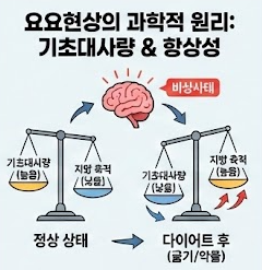 요요현상 원리