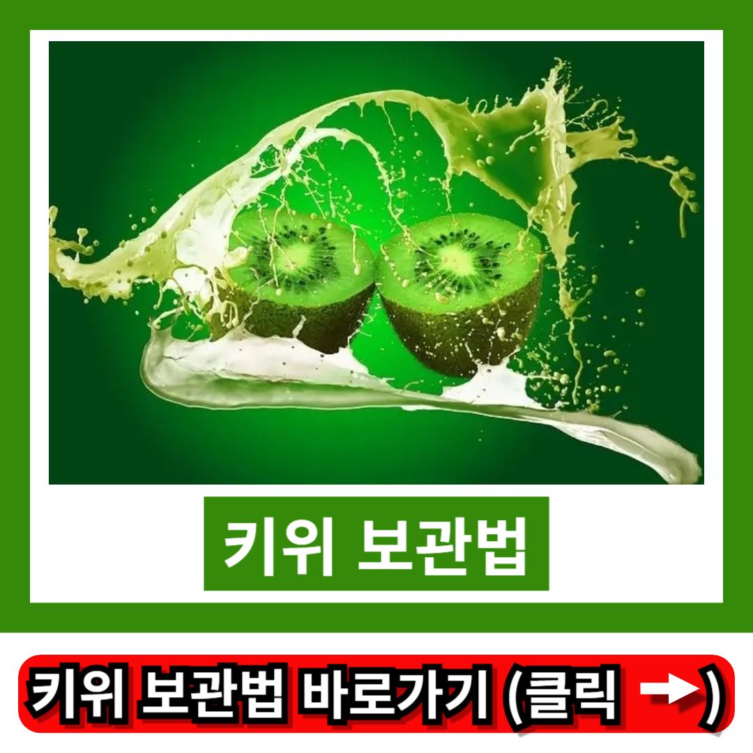 키위 보관법