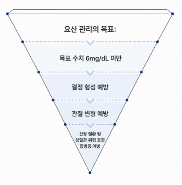 통풍 증상