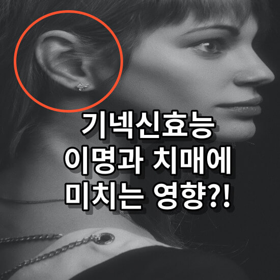 기넥신효능, 이명과 치매에좋은