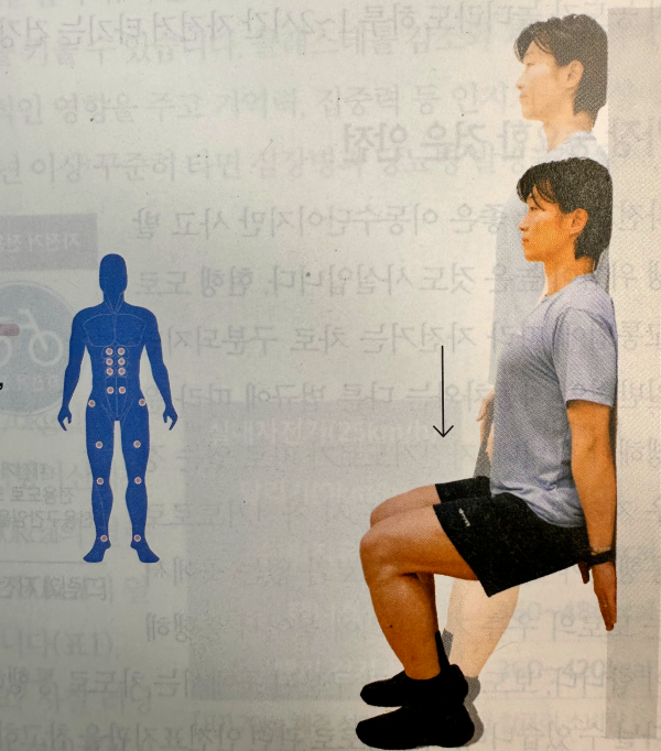 스쿼트(Squat) 자세