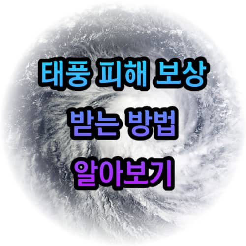 태풍 피해 보상 받는 방법(사유재산피해신고와 풍수해보험) 알아보기