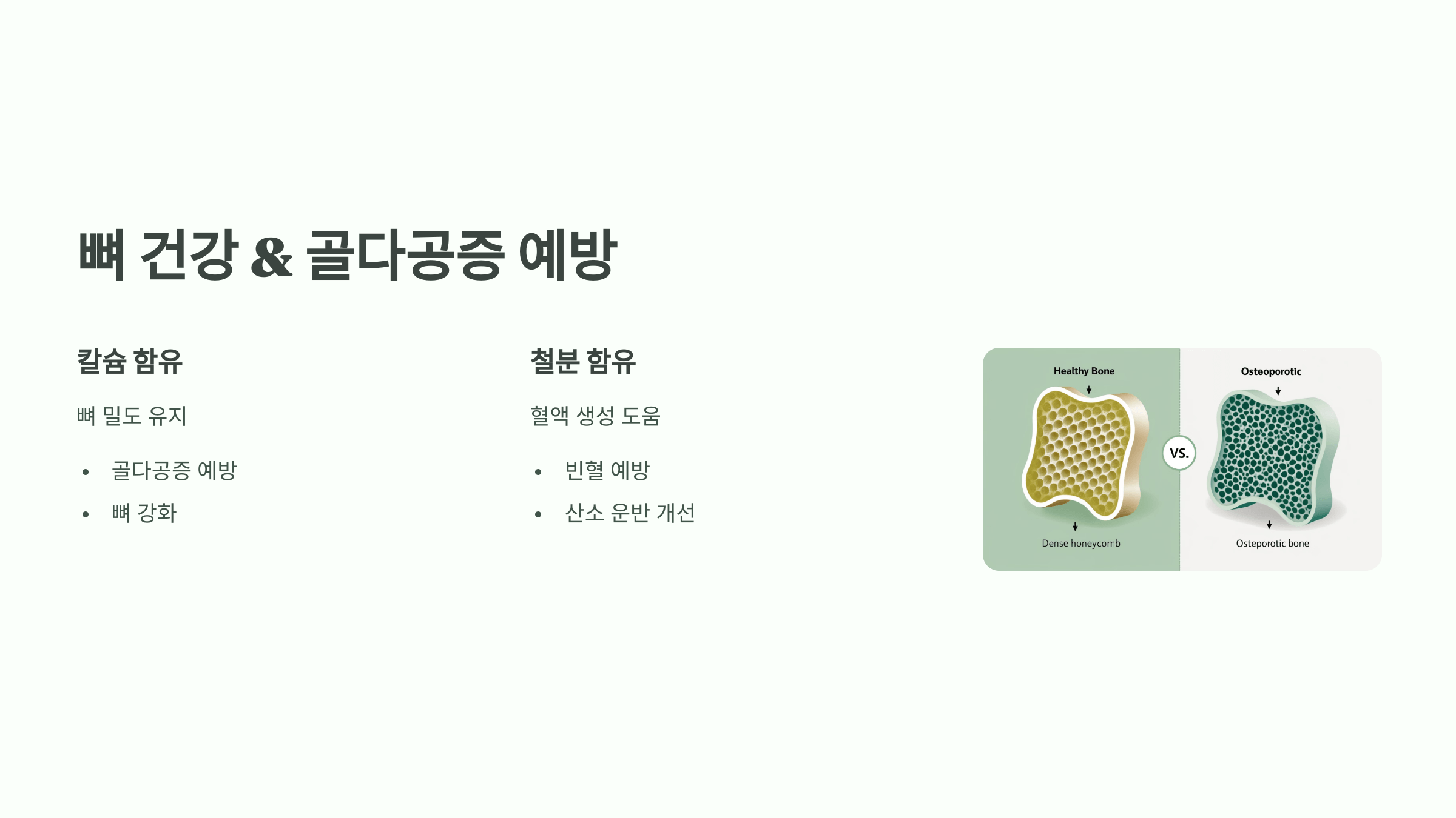 쑥 사진입니다.