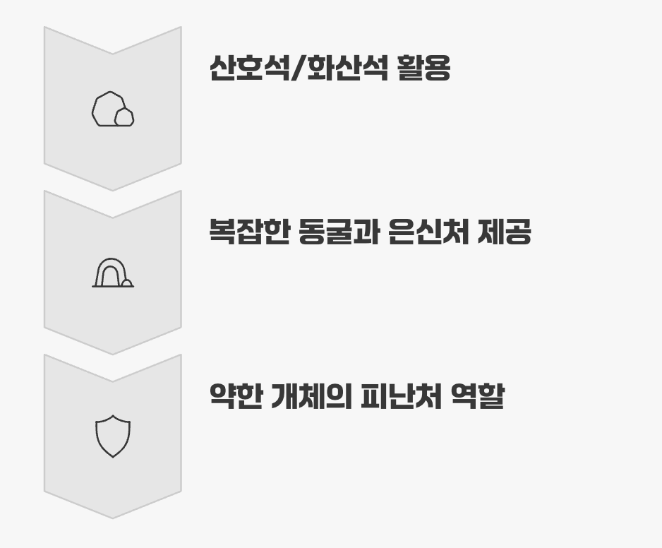 숨을 곳을 만들어 주세요, 레이아웃