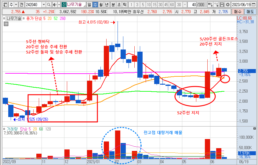 6월 21일 나무기술 주봉 차트
