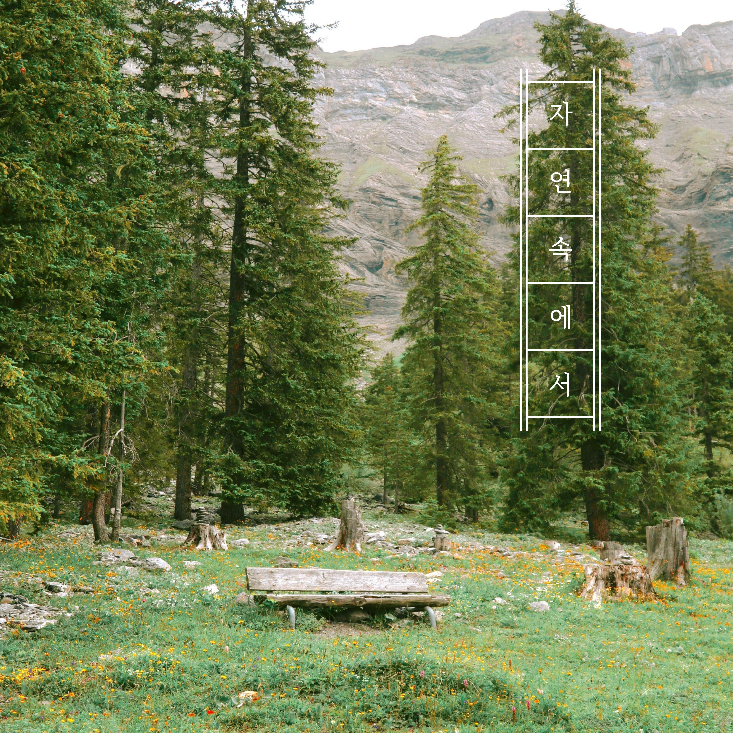 제주도 인기 여행 코스 추천