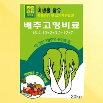 김장배추 웃거름비료 주는시기와 방법을 안내_10