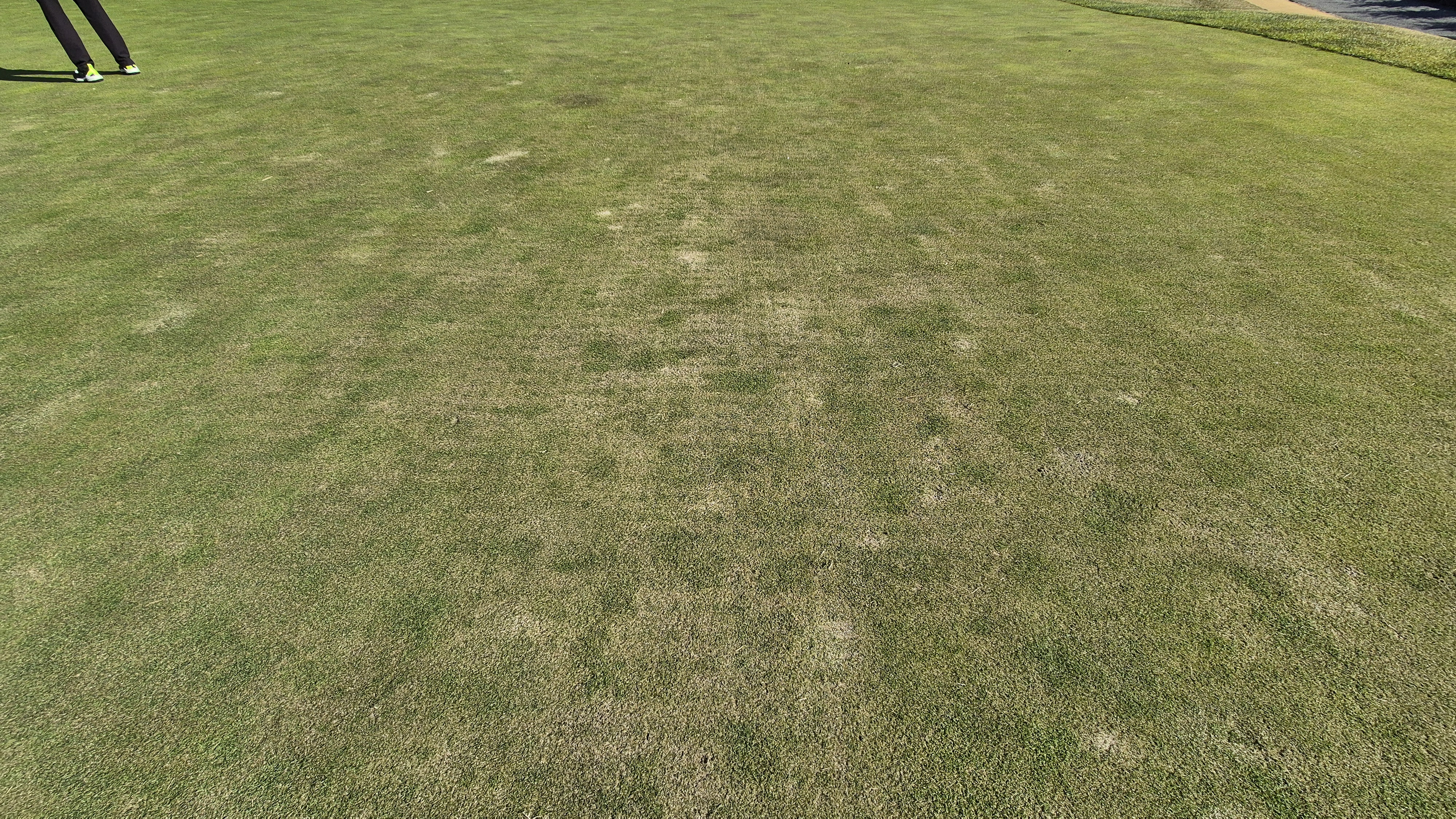 동촌gc 그린관리상태