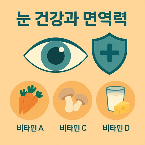 눈 건강과 면역력 관련 인포그래픽