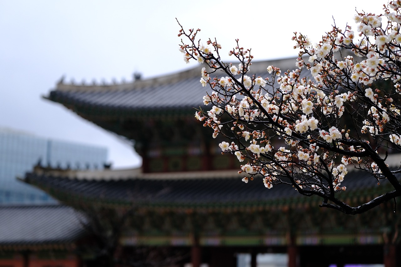한옥의 봄 풍경