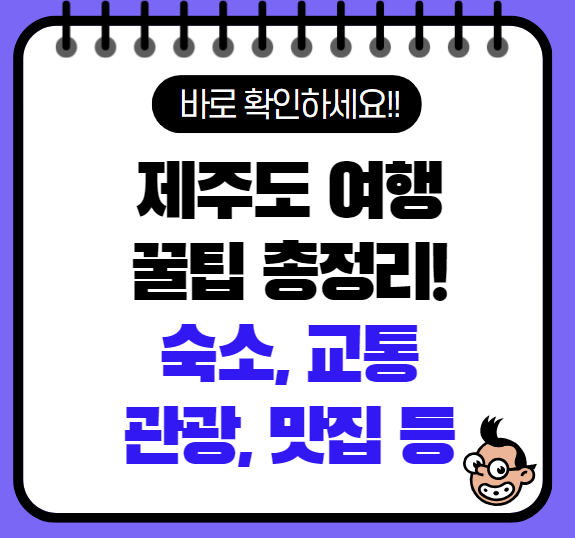 제주도 여행 숙소, 교통 꿀팁 총정리(최신 Ver)