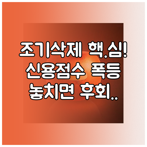 개인회생 인가 후 1년 신용 회복 조..