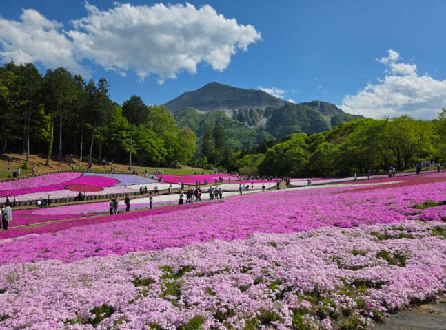 히쓰지야마 공원