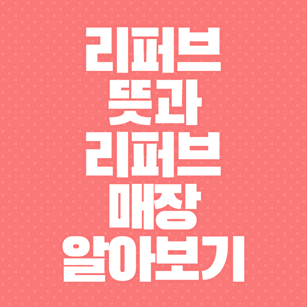 리퍼브 뜻