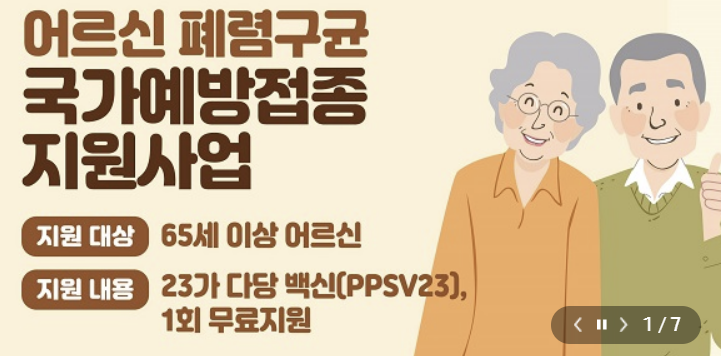 폐렴구균 예방접종 횟수 비용 무료 접종후 주의사항 총정리(최신 2024년)