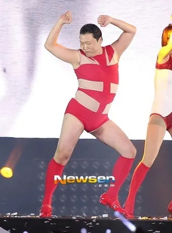 싸이 콘서트 나이제한 및 입장 규칙과 예매 정보 정리_7