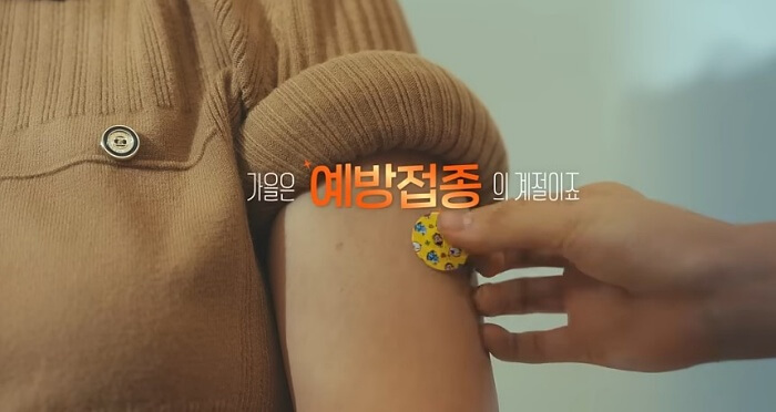 2025년 독감 예방접종 완전정리|65세 이상 시니어 무료대상·비용·주의사항