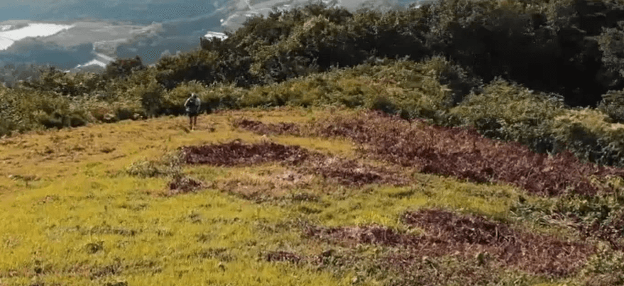 장수 트레일레이스 대회 참가 접수 바로하기